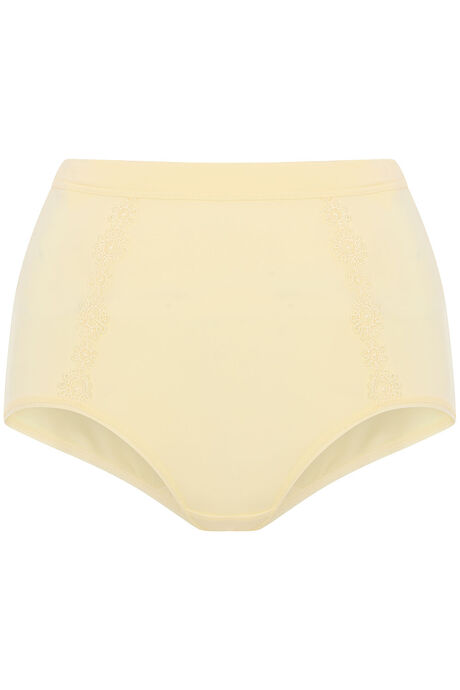 Lace Trim Full Briefs